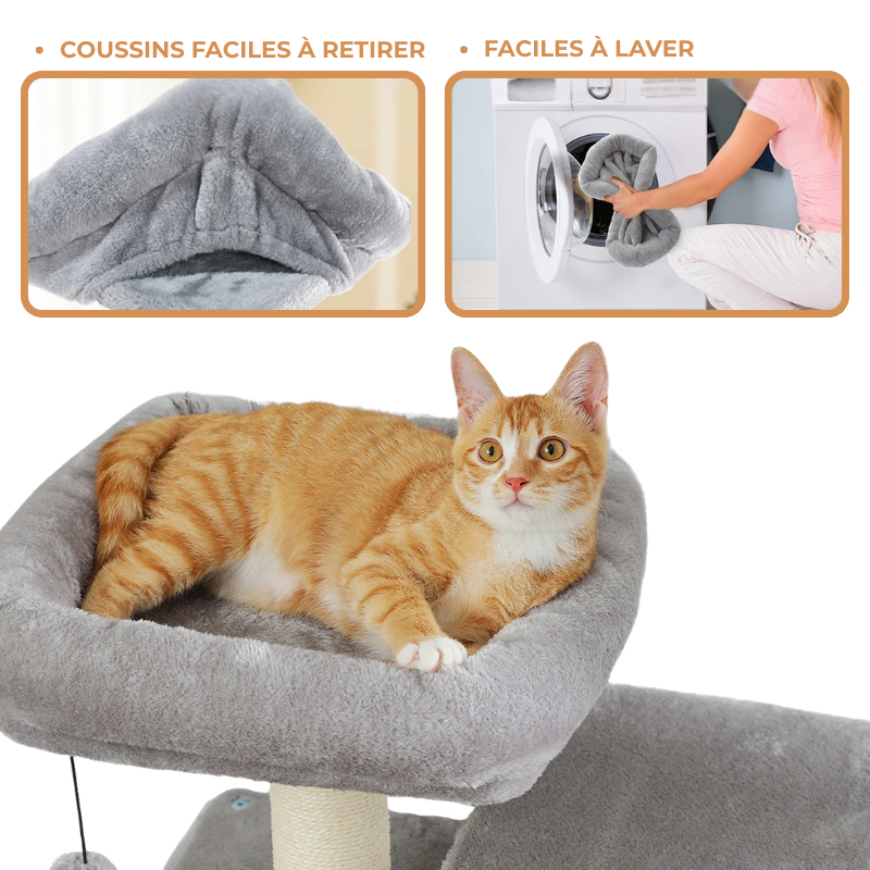 Arbre à chat avec griffoir
