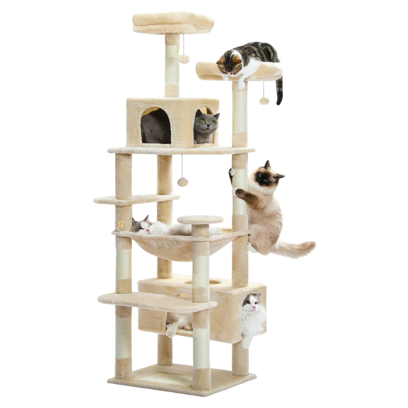 Arbre à chat avec griffoir