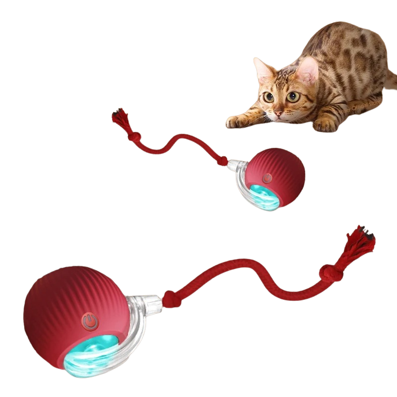 Balle Électrique Chat