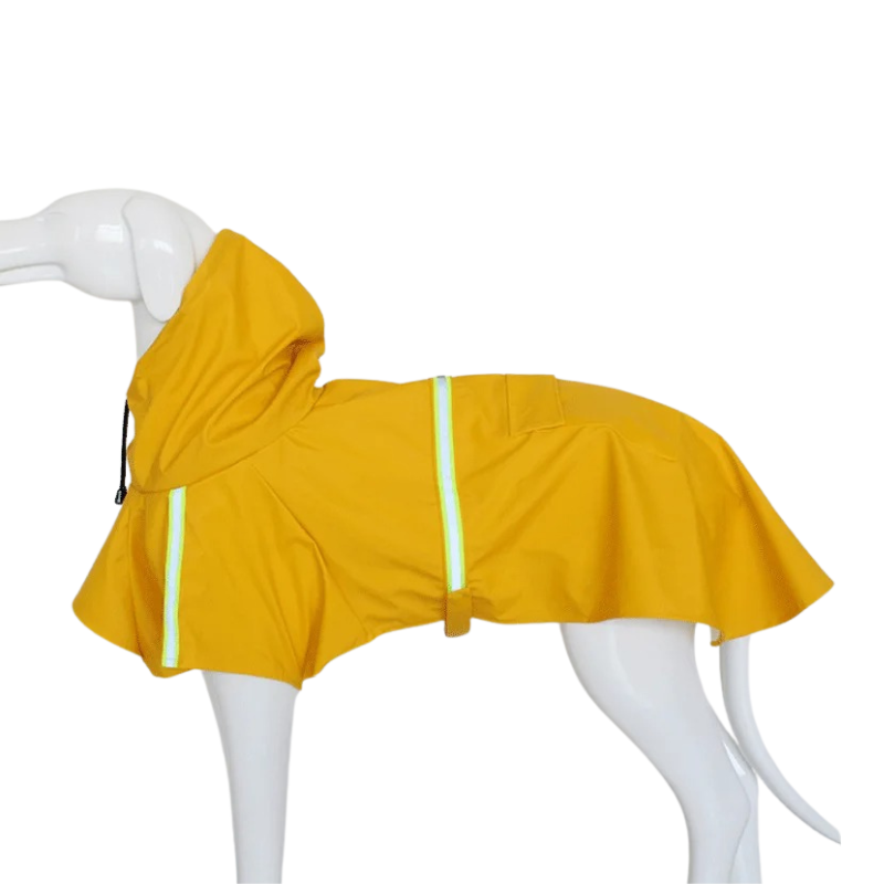 Imperméable Chien à Capuche