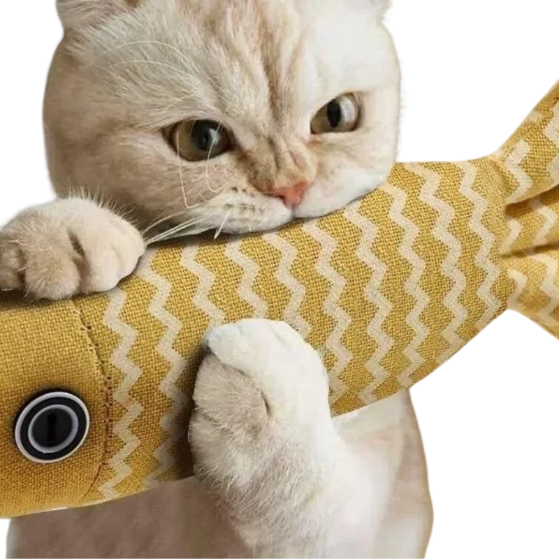 Jouet Poisson Chat Herbe à Chat