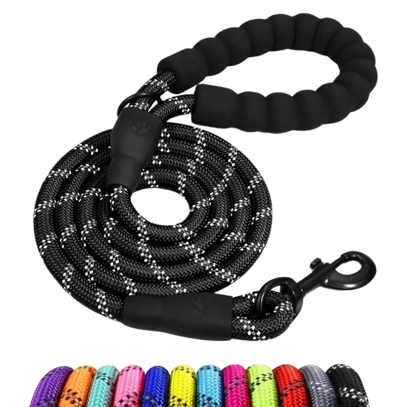 Laisse pour chien en corde