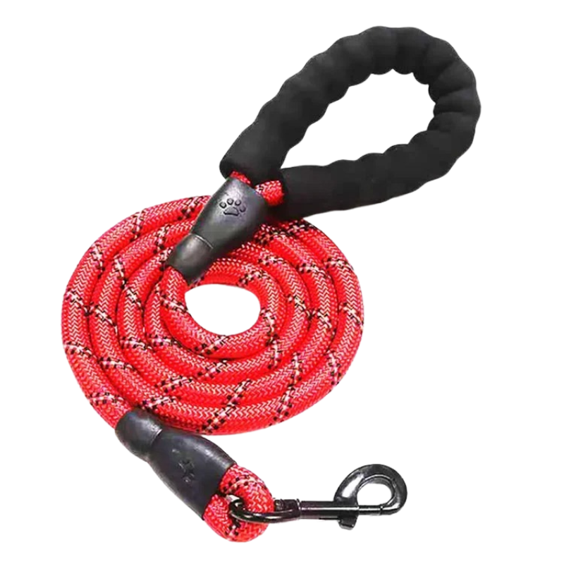 Laisse pour chien en corde