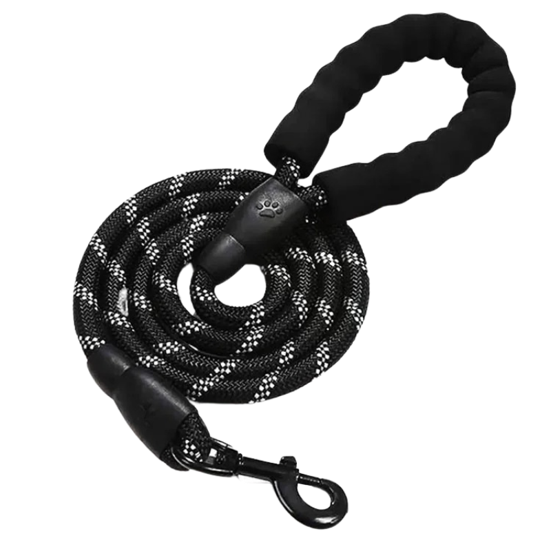 Laisse pour chien en corde