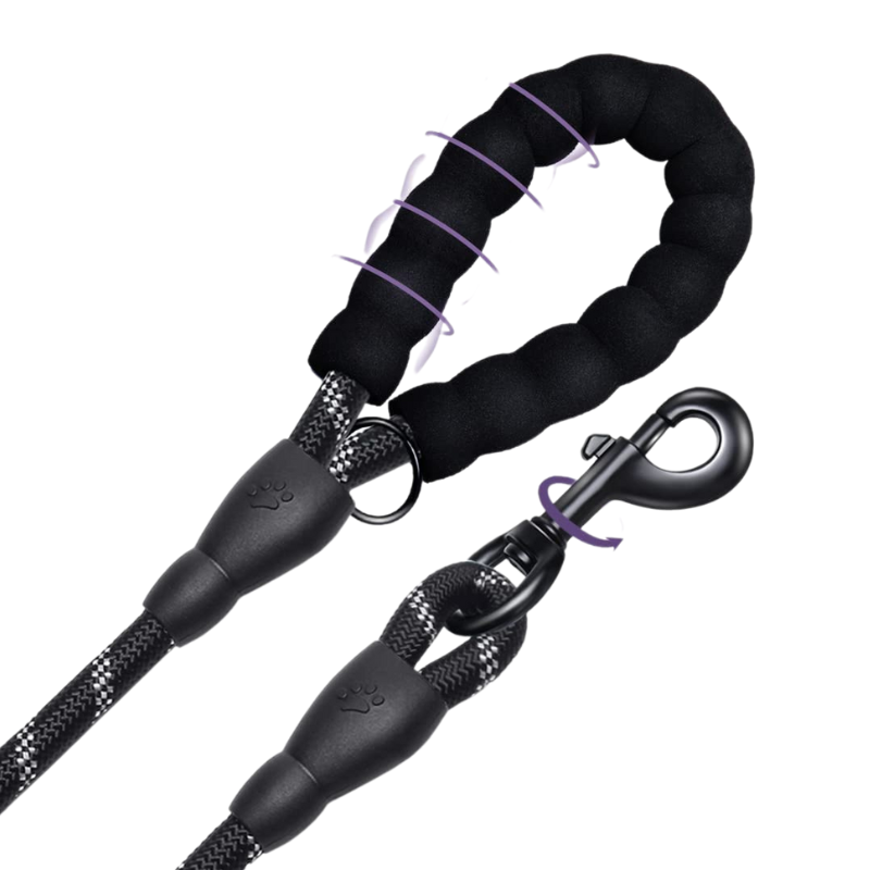 Laisse pour chien en corde