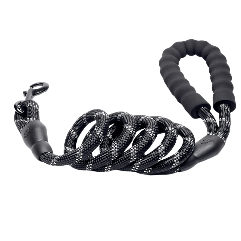 Laisse pour chien en corde