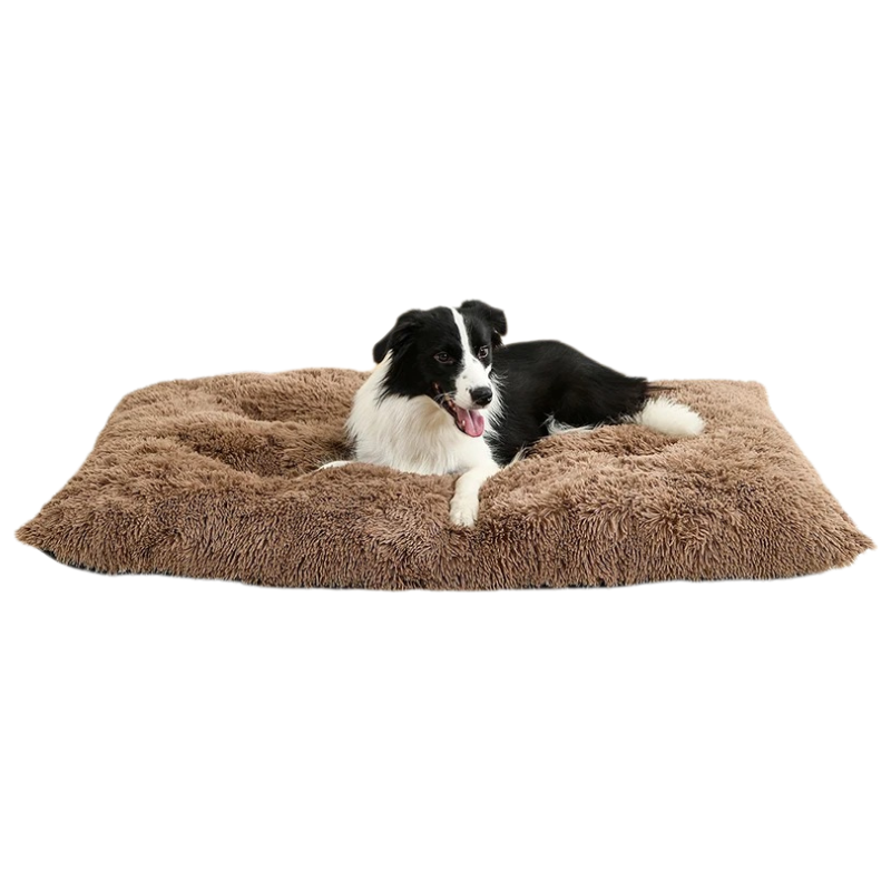 Lit Chien Peluche Doux