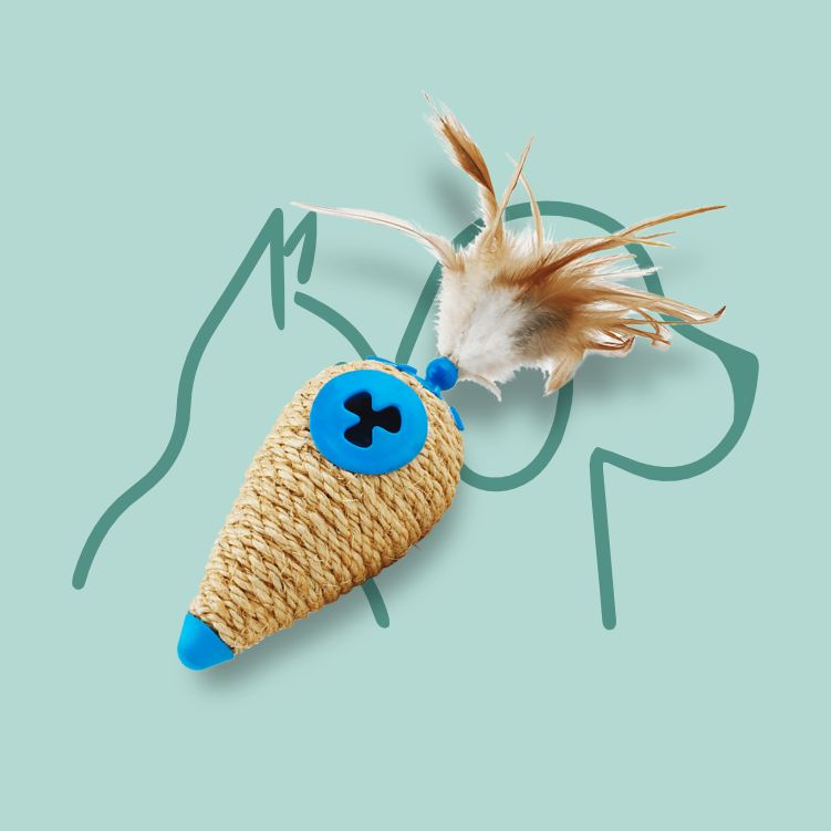 Jouets pour Chats