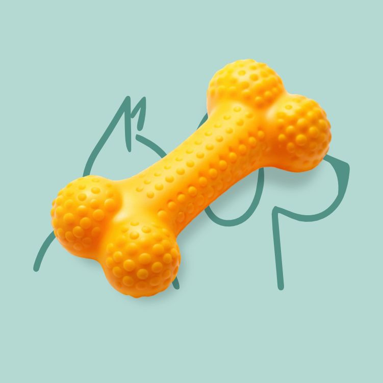 Jouets pour Chiens