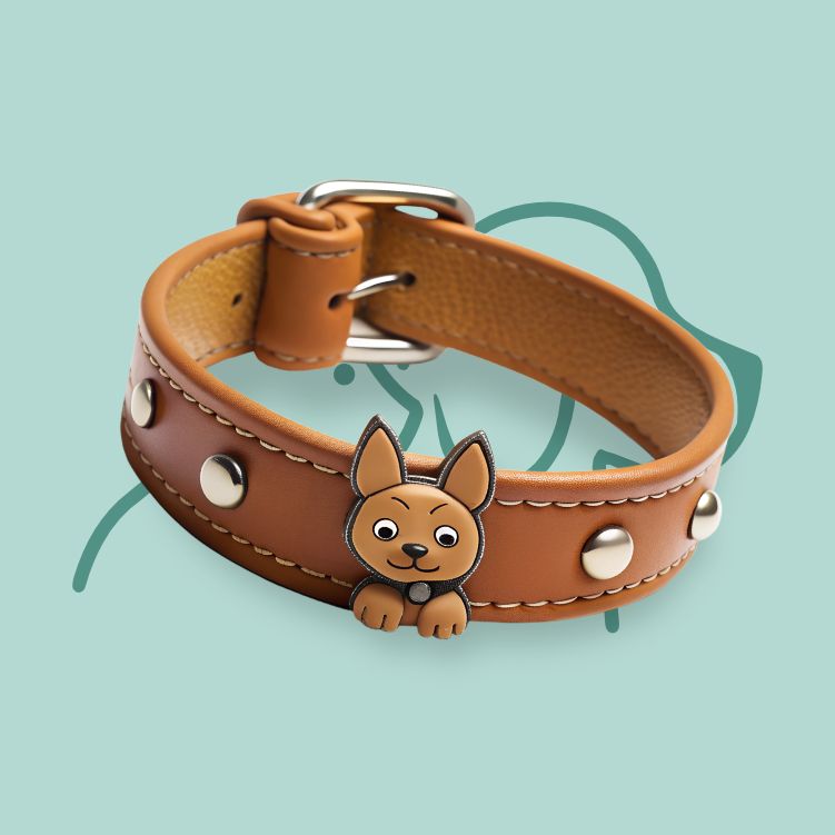 Promenades & Accessoires