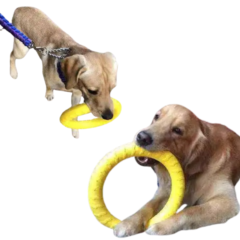 Anneau à Mâcher pour Chien