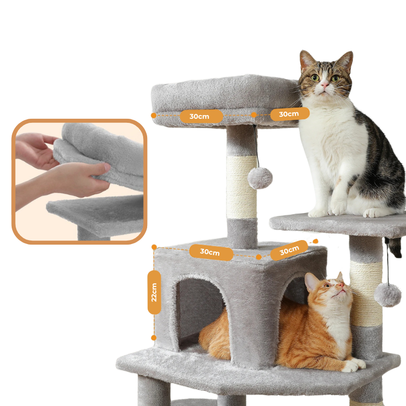 Arbre à Chat Avec Griffoir