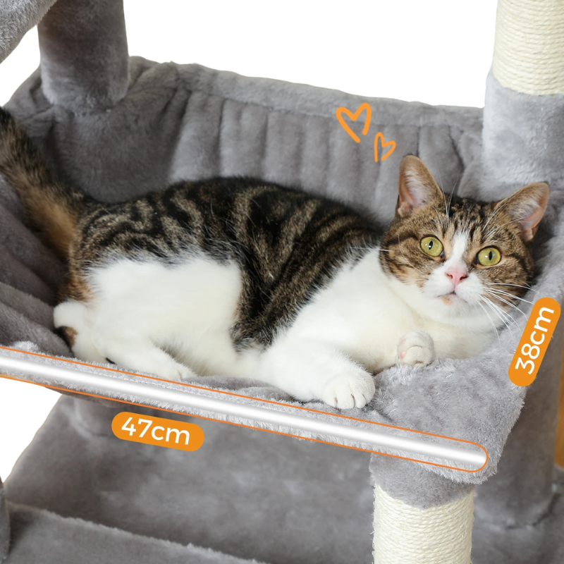 Arbre à Chat Avec Griffoir