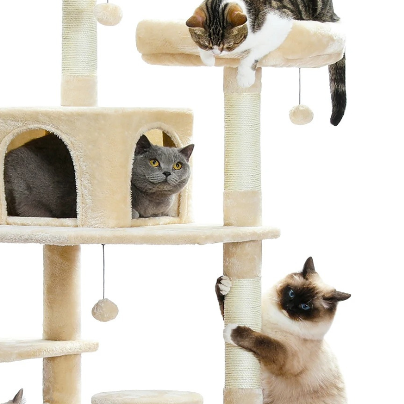 Arbre à chat avec griffoir