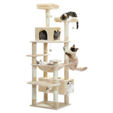 Arbre à Chat Avec Griffoir