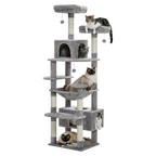 Arbre à Chat Avec Griffoir