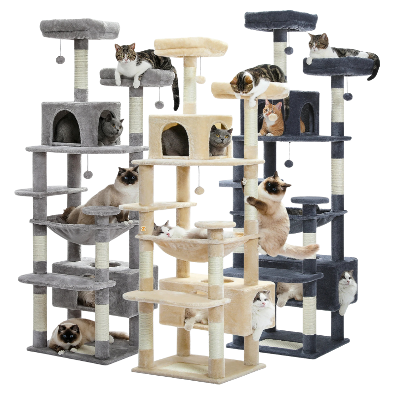 Arbre à Chat Avec Griffoir