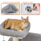 Arbre à Chat Avec Griffoir