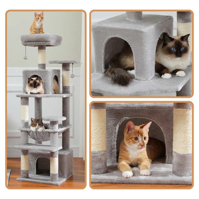 Arbre à Chat Avec Griffoir