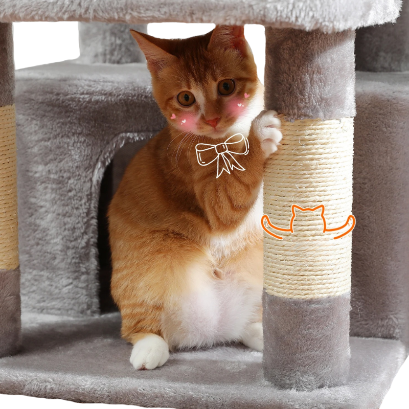 Arbre à Chat Avec Griffoir