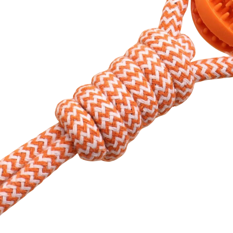 Balle À Mâcher Pour Chien Avec Corde