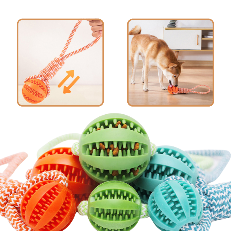 Balle À Mâcher Pour Chien Avec Corde