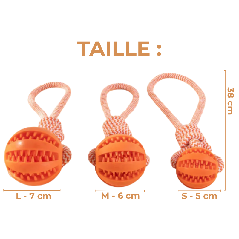 Balle À Mâcher Pour Chien Avec Corde