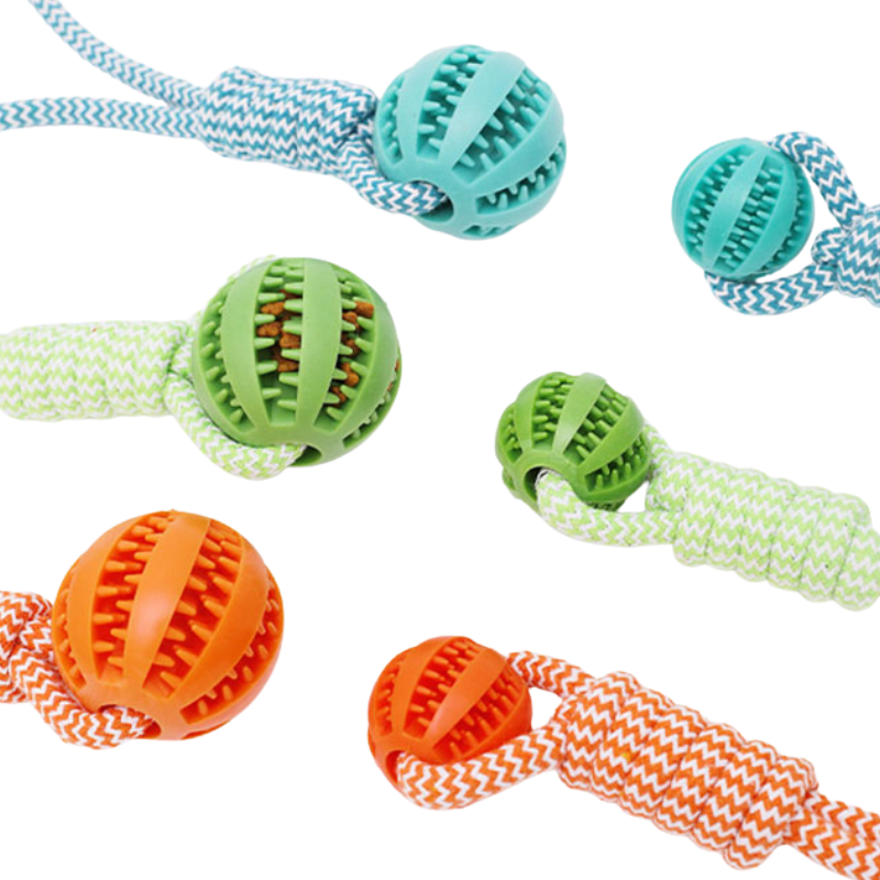 Balle À Mâcher Pour Chien Avec Corde