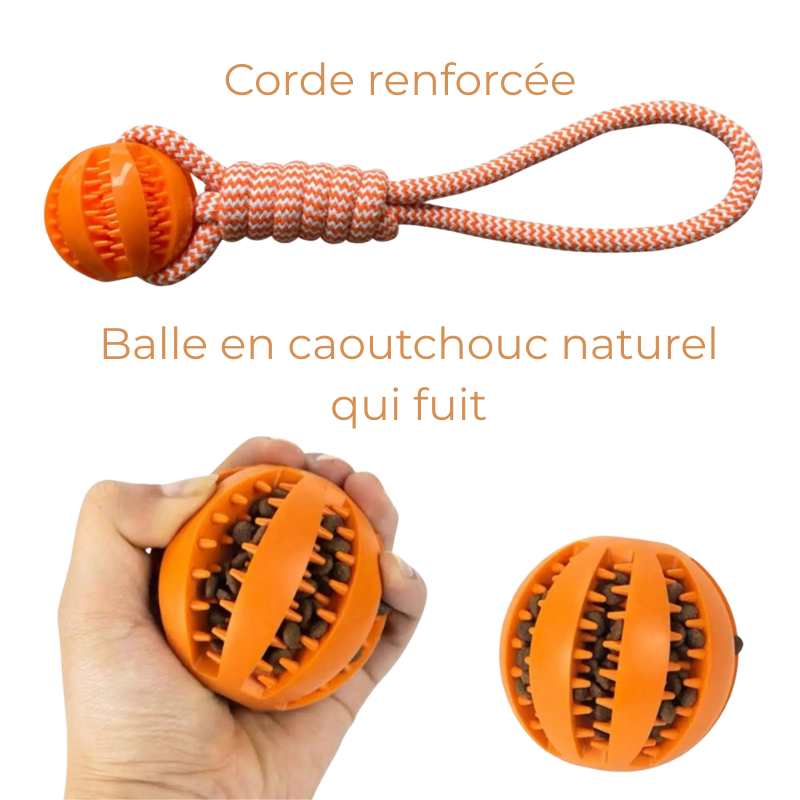 Balle À Mâcher Pour Chien Avec Corde