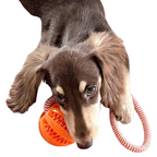 Balle À Mâcher Pour Chien Avec Corde