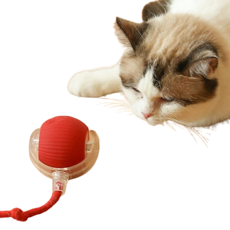 Balle Électrique Chat