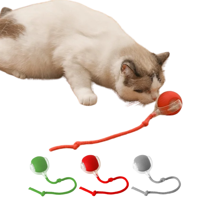 Balle Électrique Chat