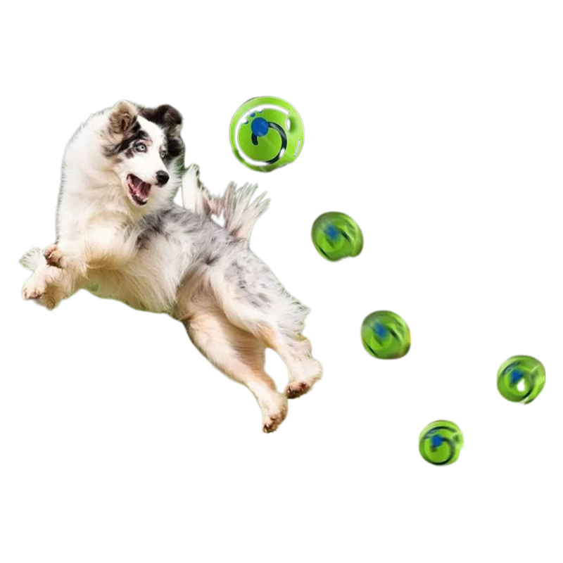 Balle Sonore Interactive Pour Chiens