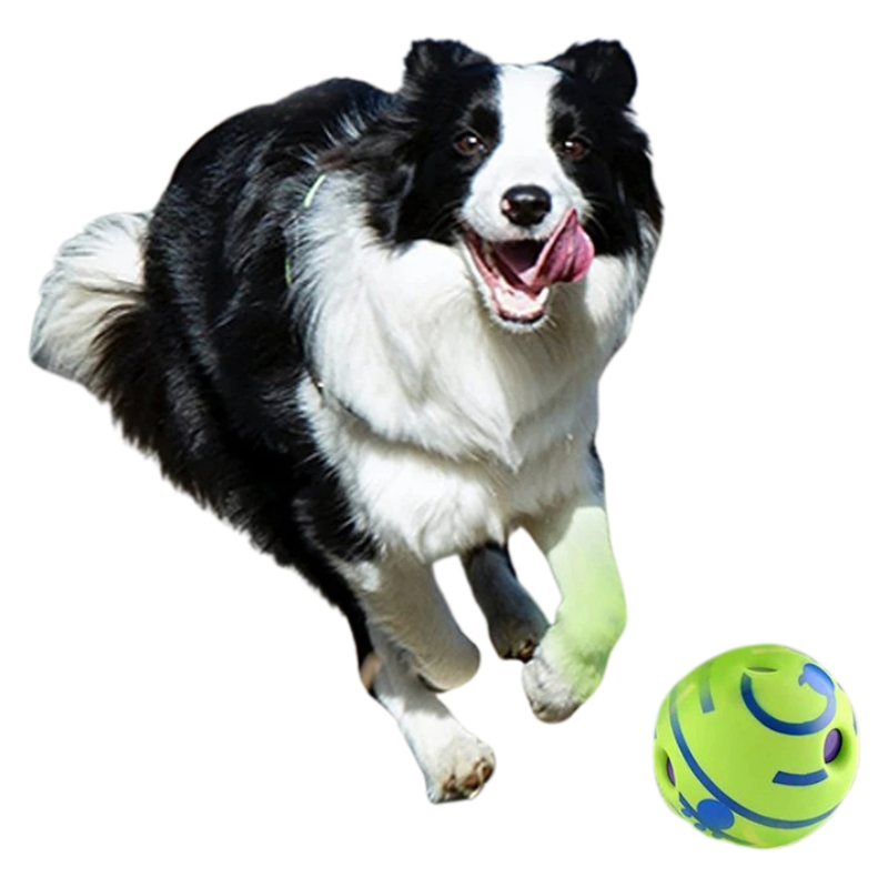 Balle Sonore Interactive Pour Chiens