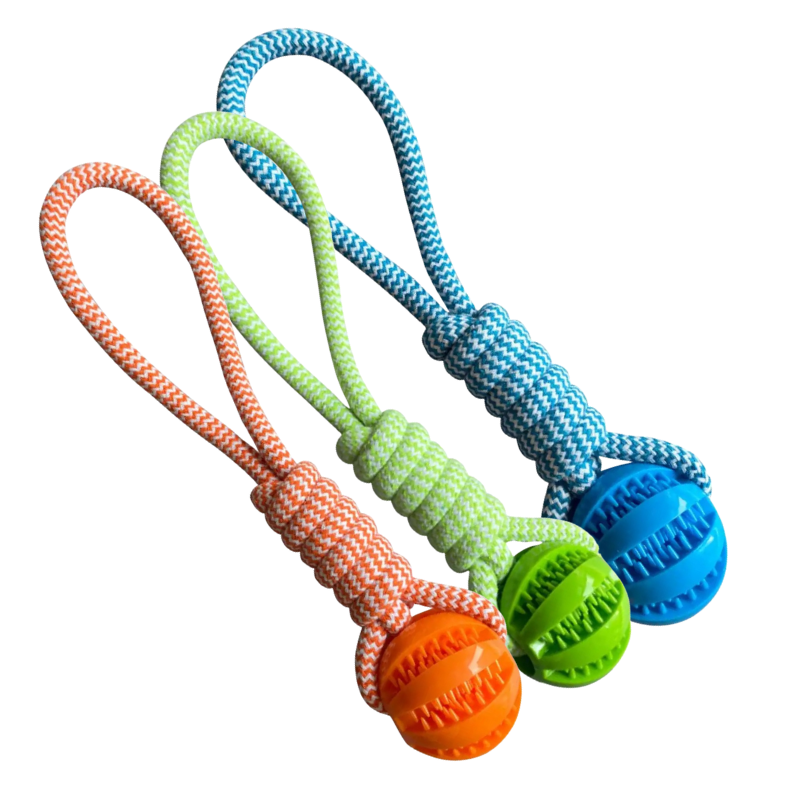Balle À Mâcher Pour Chien Avec Corde