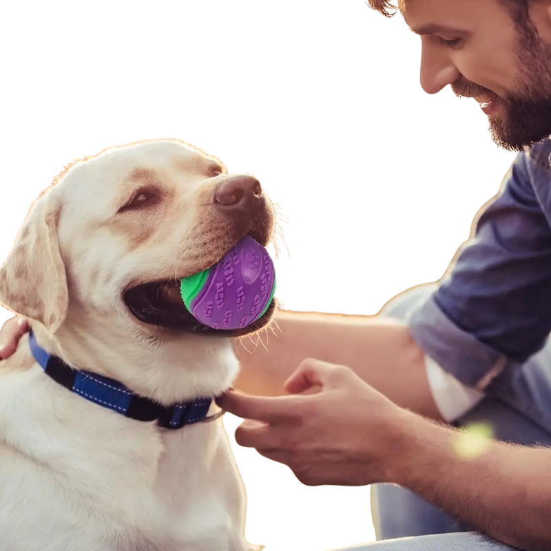 Balle Caoutchouc Chien