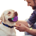 Balle Caoutchouc Chien