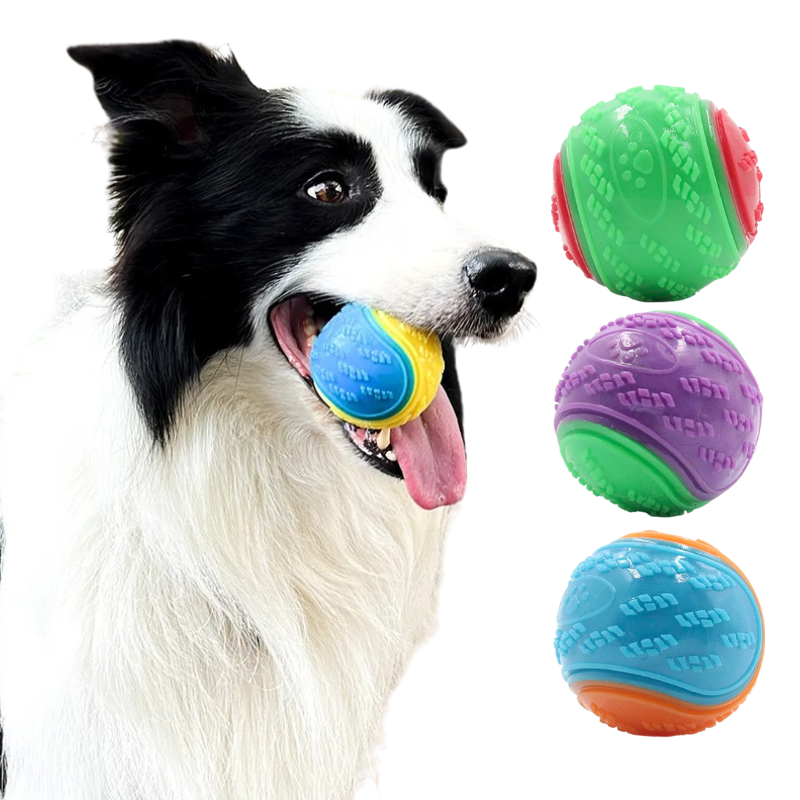 Balle Caoutchouc Chien