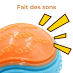 Balle Caoutchouc Chien