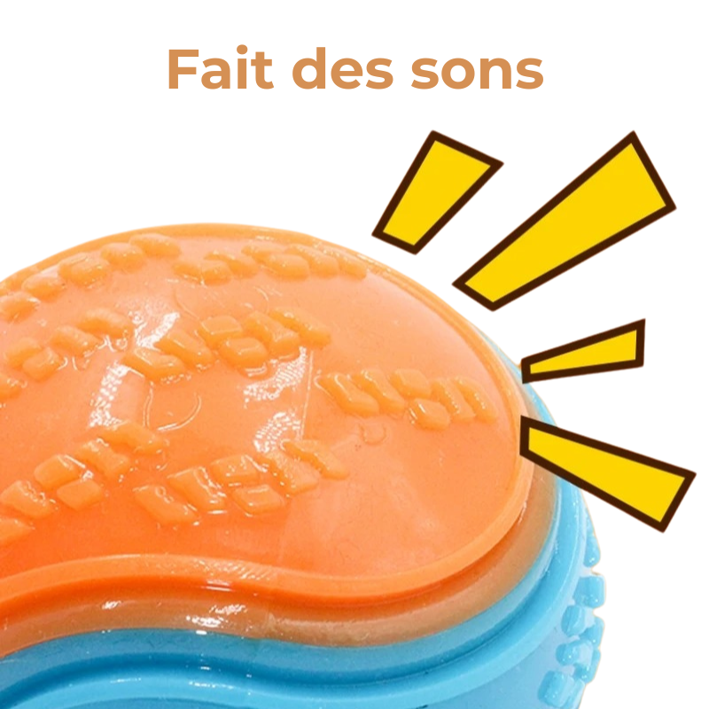 Balle Caoutchouc Chien