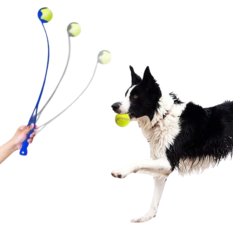 Bâton de Lancer de Balle Pour Chien
