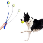 Bâton de Lancer de Balle Pour Chien