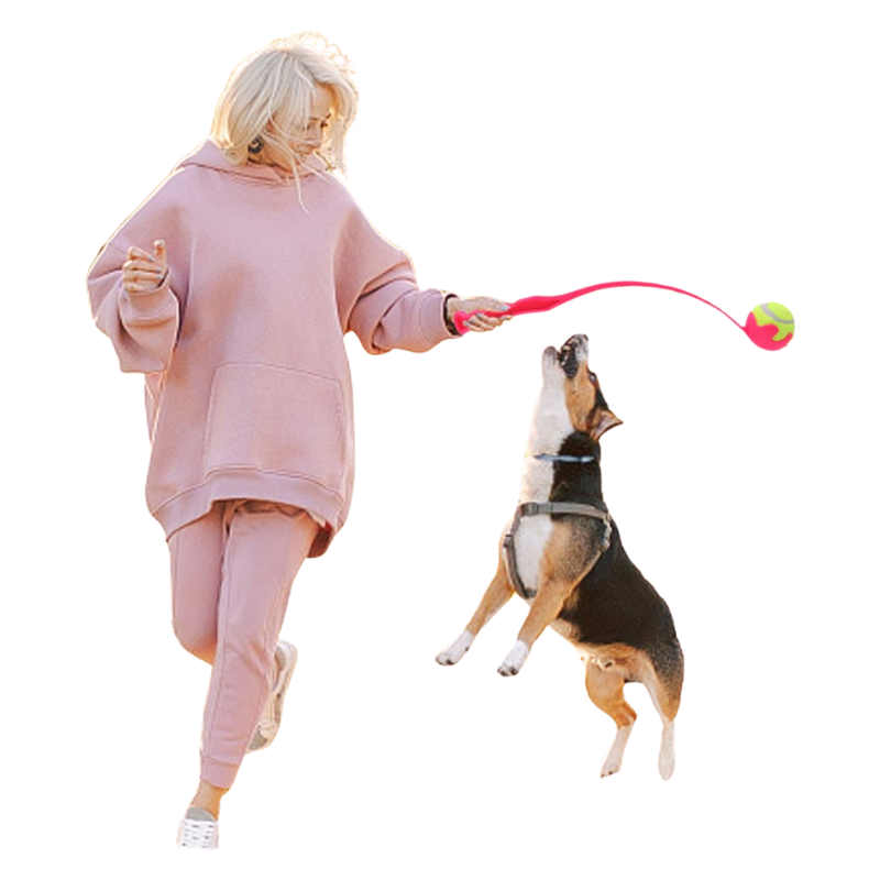 Bâton de Lancer de Balle Pour Chien