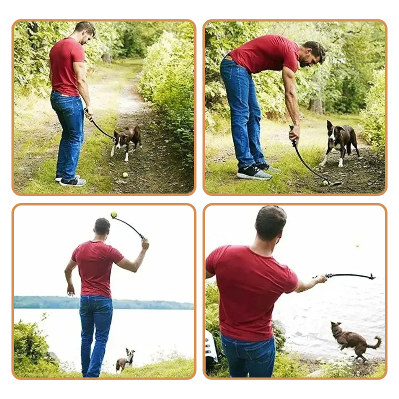 Bâton de Lancer de Balle Pour Chien