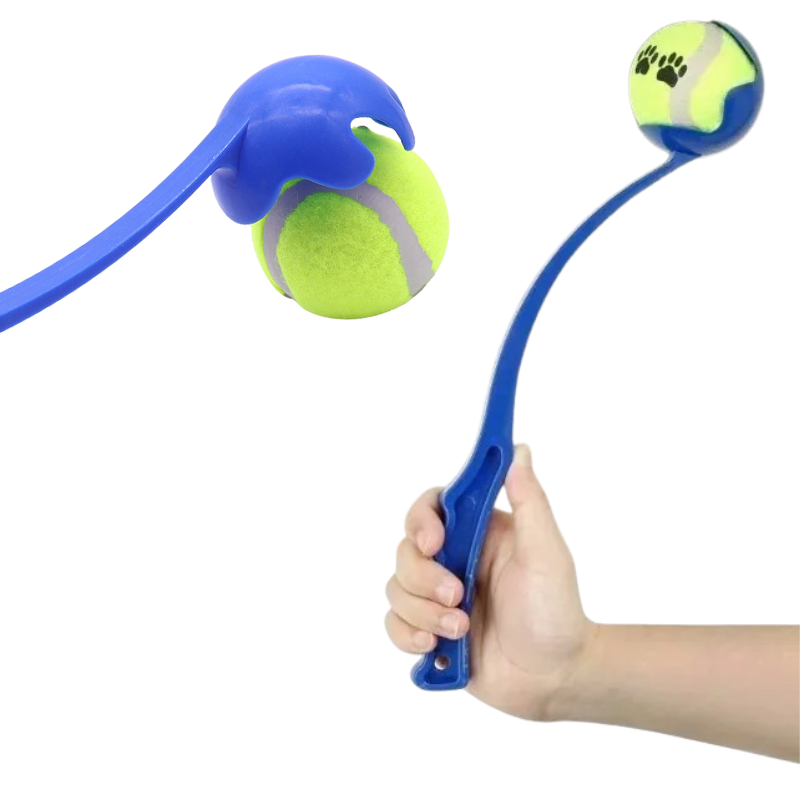 Bâton de Lancer de Balle Pour Chien