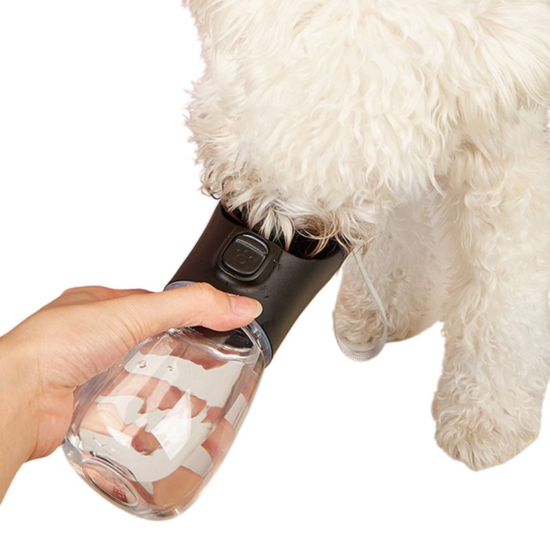 Bouteille d'Eau Portable Chien