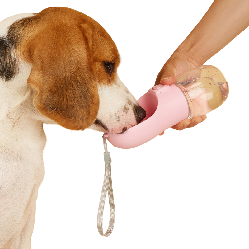 Bouteille d'Eau Portable Chien
