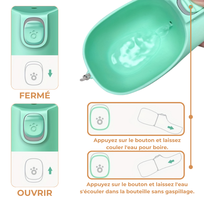 Bouteille d'Eau Portable Chien