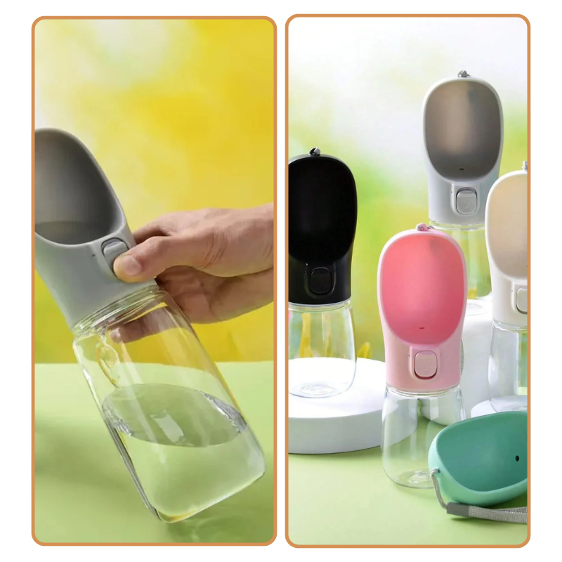 Bouteille d'Eau Portable Chien