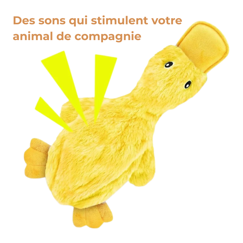 Canard En Peluche Couineur Pour Chiens